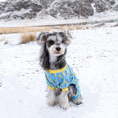 CuteBone Soft & Stretchy Dog Pajamas – Cozy Pullover Jumpsuit for Small Dogs (XX-Large)