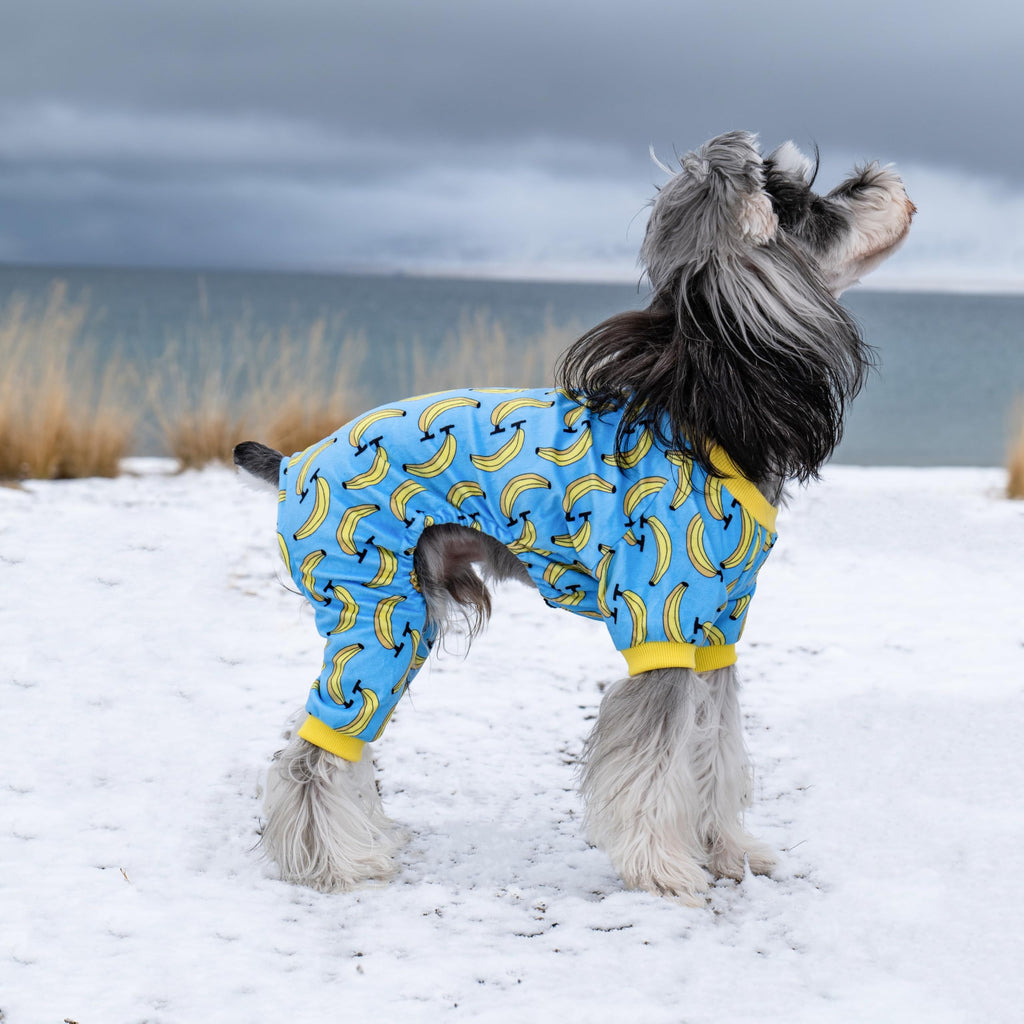 CuteBone Soft & Stretchy Dog Pajamas – Cozy Pullover Jumpsuit for Small Dogs (XX-Large)