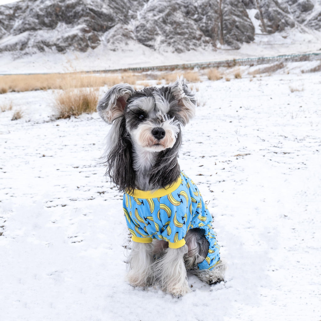 CuteBone Soft & Stretchy Dog Pajamas – Cozy Pullover Jumpsuit for Small Dogs (XX-Large)