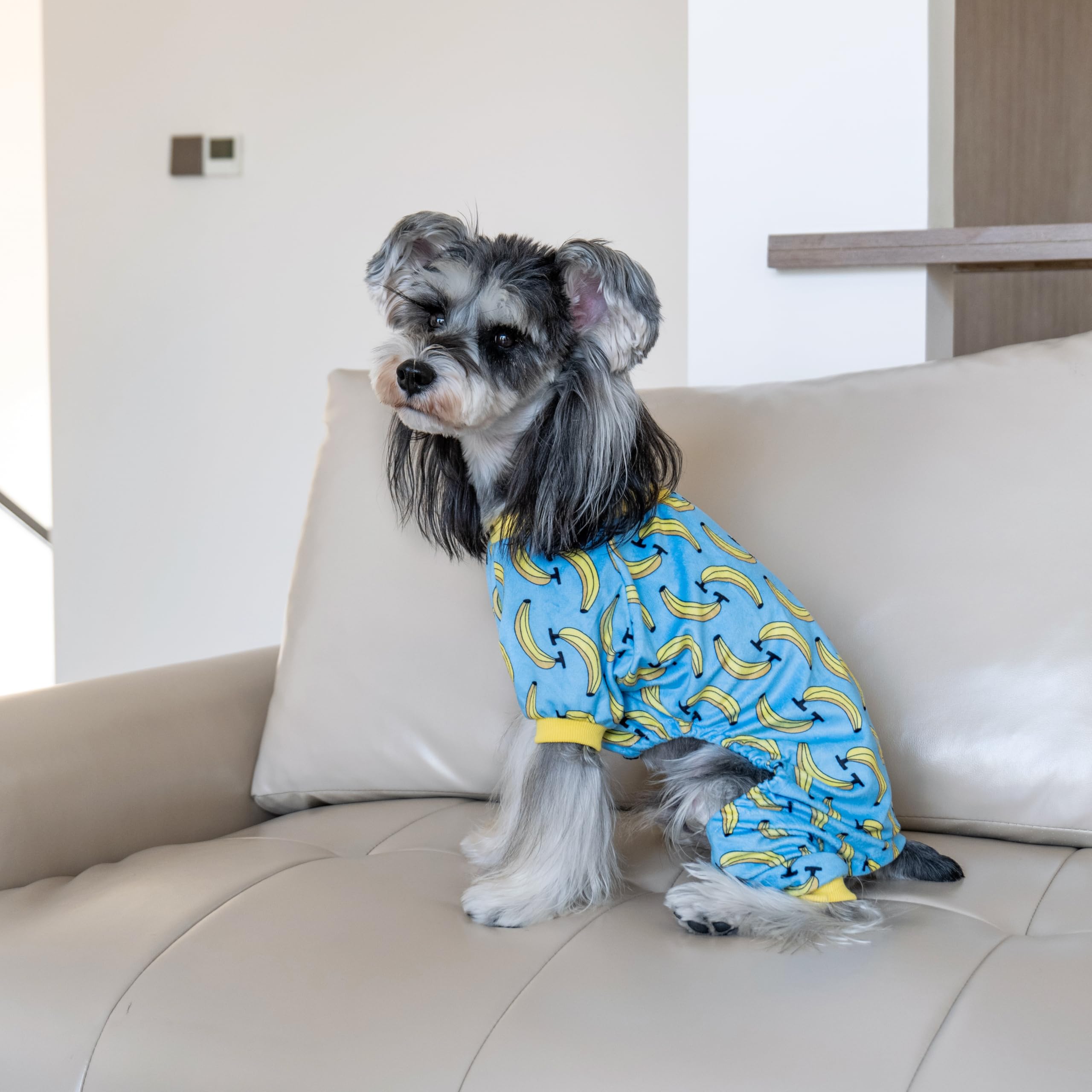 CuteBone Soft & Stretchy Dog Pajamas – Cozy Pullover Jumpsuit for Small Dogs (XX-Large)