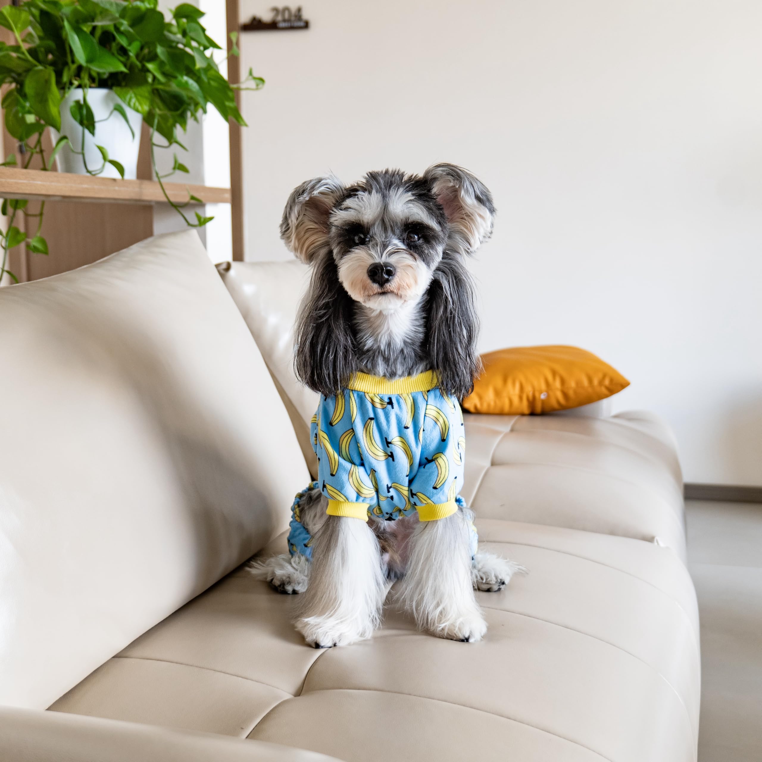 CuteBone Soft & Stretchy Dog Pajamas – Cozy Pullover Jumpsuit for Small Dogs (XX-Large)