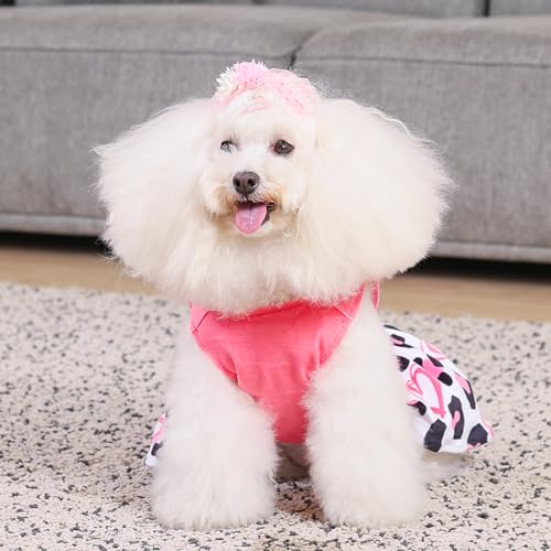 CuteBone Velvet Dog Dress for Small Dogs – Medium Size with Bow Hair Rope, Breathable & Stretchy