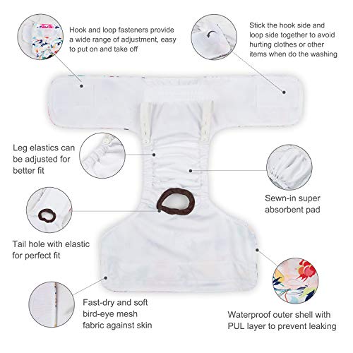 CuteBone Washable Female Dog Diapers - 3 Pack Reusable Diapers for Heat, Incontinence, and Potty Training - Size M Blue&Purple