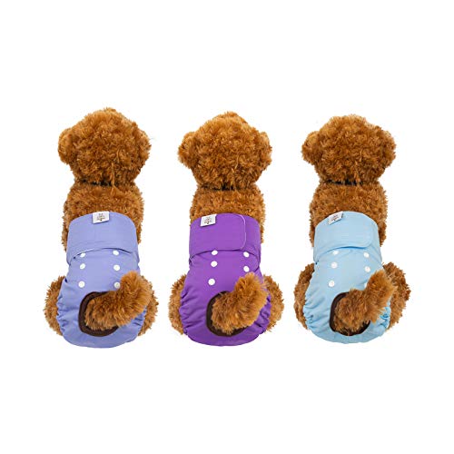 CuteBone Washable Female Dog Diapers - 3 Pack Reusable Diapers for Heat, Incontinence, and Potty Training - Size M Blue&Purple