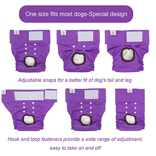 CuteBone Washable Female Dog Diapers - 3 Pack Reusable Diapers for Heat, Incontinence, and Potty Training - Size M Blue&Purple