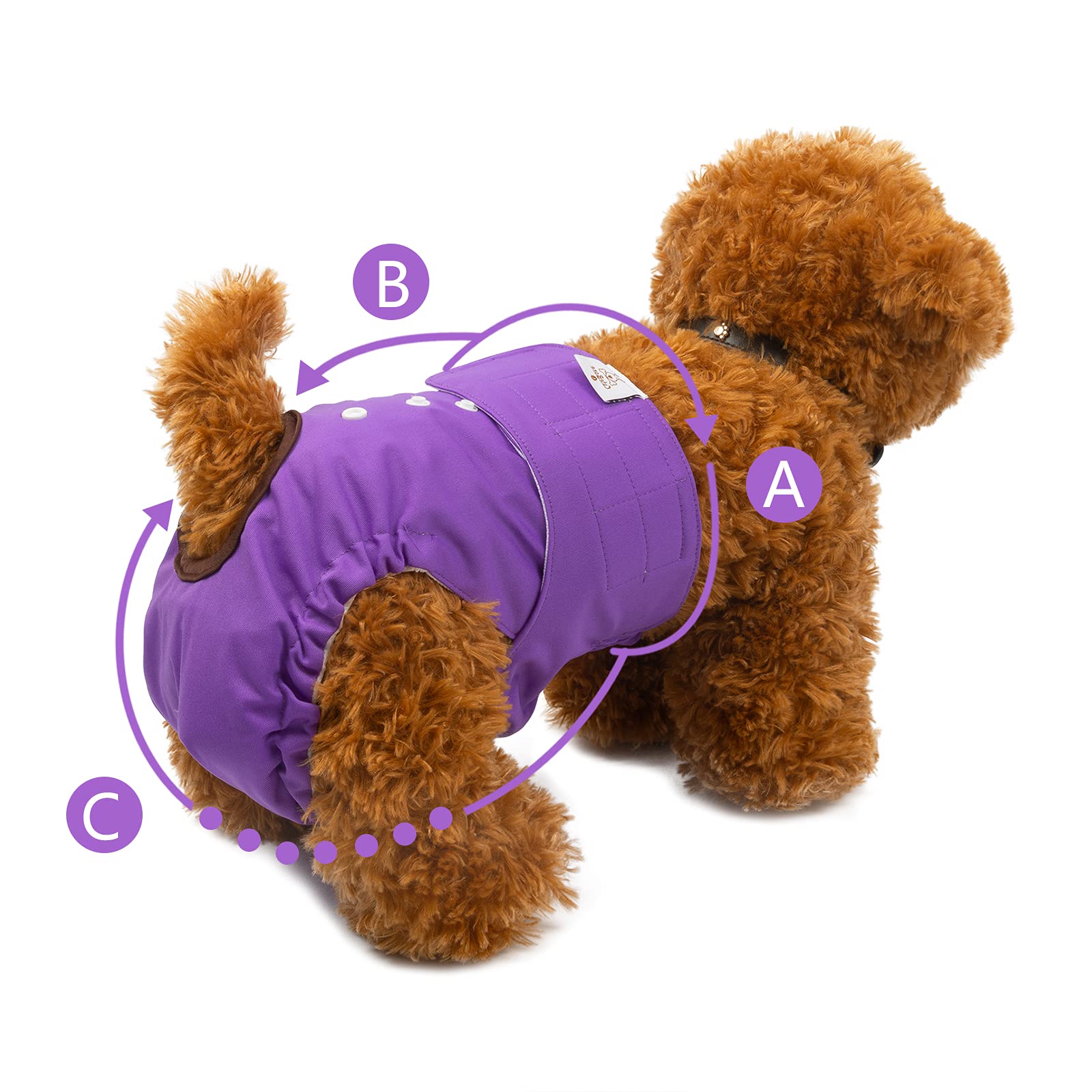 CuteBone Washable Female Dog Diapers - 3 Pack Reusable Diapers for Heat, Incontinence, and Potty Training - Size M Blue&Purple
