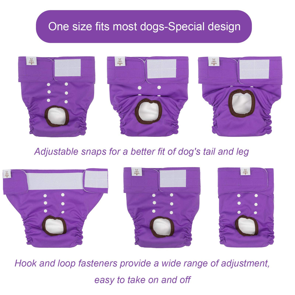 CuteBone Washable Female Dog Diapers - 3 Pack Reusable Diapers for Heat, Incontinence, and Potty Training - Size M Blue&Purple