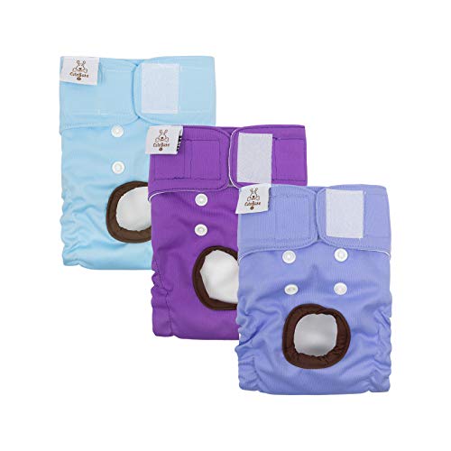 CuteBone Washable Female Dog Diapers - 3 Pack Reusable Diapers for Heat, Incontinence, and Potty Training - Size M Blue&Purple