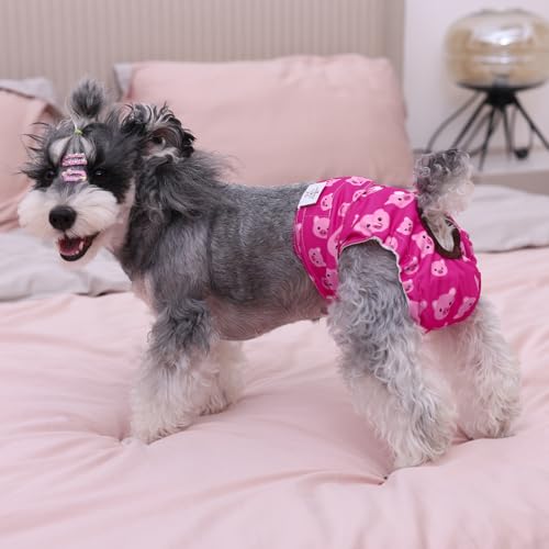 CuteBone Washable Female Dog Diapers 3-Pack - Reusable Period Pants for Heat Cycle, Incontinence, and Potty Training (Size M, Unicorn&Pig&Sheep Pattern)