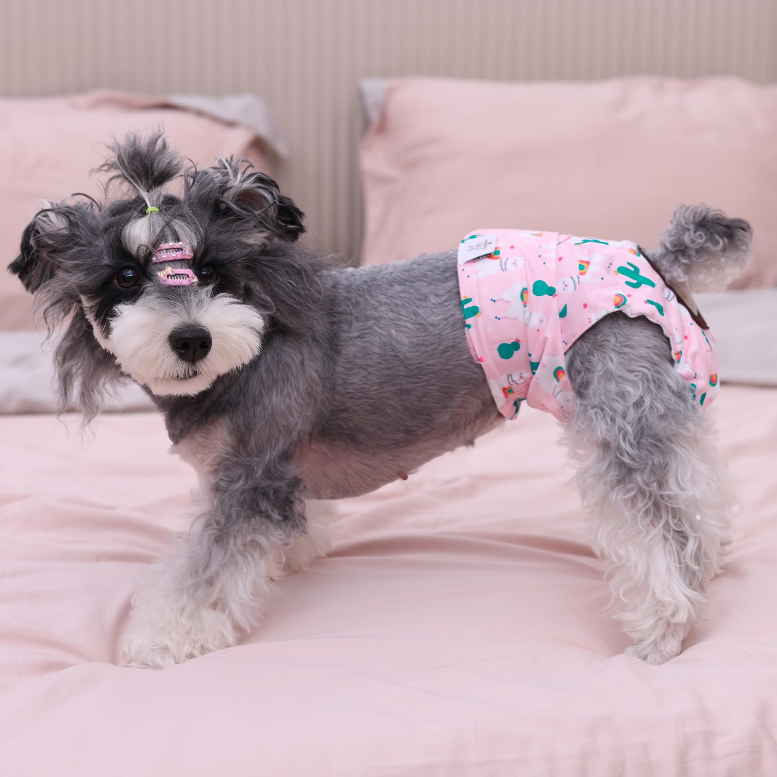 CuteBone Washable Female Dog Diapers 3-Pack - Reusable Period Pants for Heat Cycle, Incontinence, and Potty Training (Size M, Unicorn&Pig&Sheep Pattern)