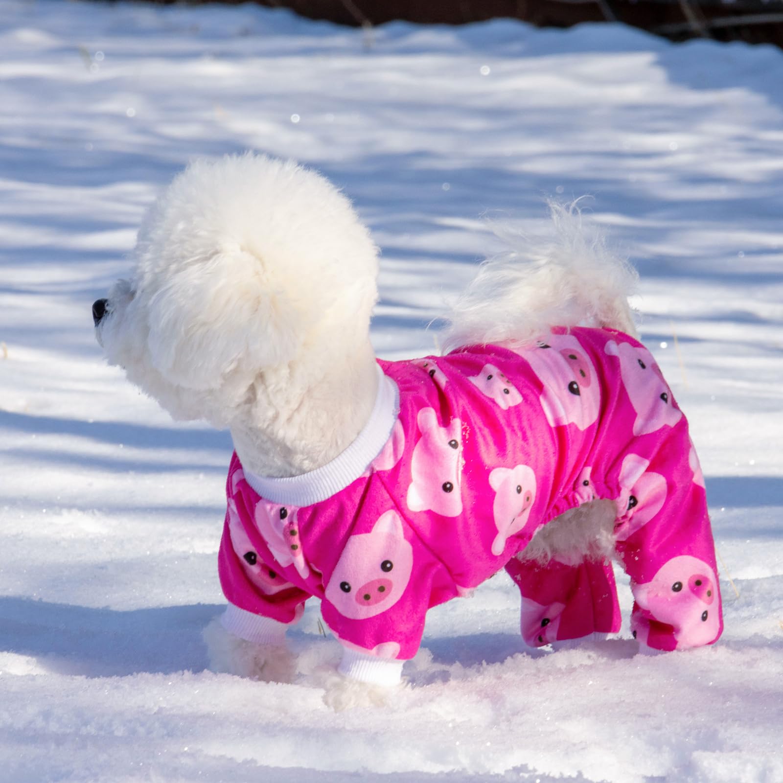 CuteBone X-Large Dog Pajamas - Soft Polyester Onesie for Small Dogs, Cat Halloween Costume
