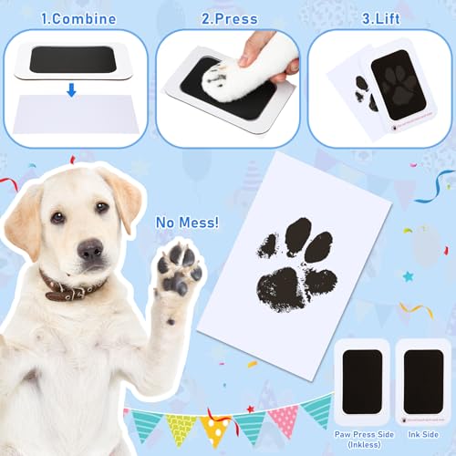 Cutecrop Dog 1st Birthday Gifts Set – Blue Hat, Bandana, Squeaky Cake Toy & No-Mess Paw Print Kit for Small to Large Dogs