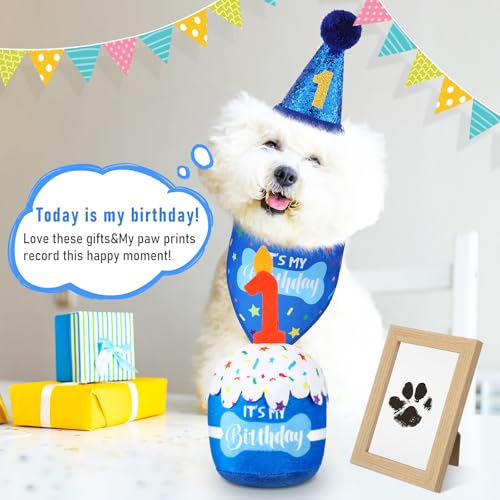 Cutecrop Dog 1st Birthday Gifts Set – Blue Hat, Bandana, Squeaky Cake Toy & No-Mess Paw Print Kit for Small to Large Dogs