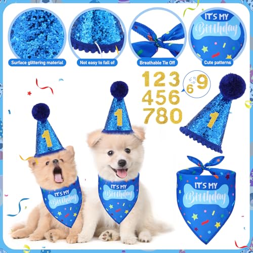 Cutecrop Dog 1st Birthday Gifts Set – Blue Hat, Bandana, Squeaky Cake Toy & No-Mess Paw Print Kit for Small to Large Dogs