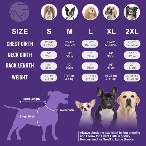 Cyeollo Dog Birthday Dress – Soft Tulle Pullover for Medium Dogs, Blue XL with Bow