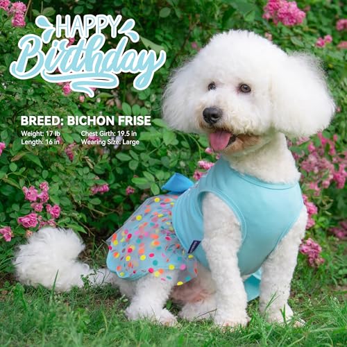 Cyeollo Dog Birthday Dress – Soft Tulle Pullover for Medium Dogs, Blue XL with Bow