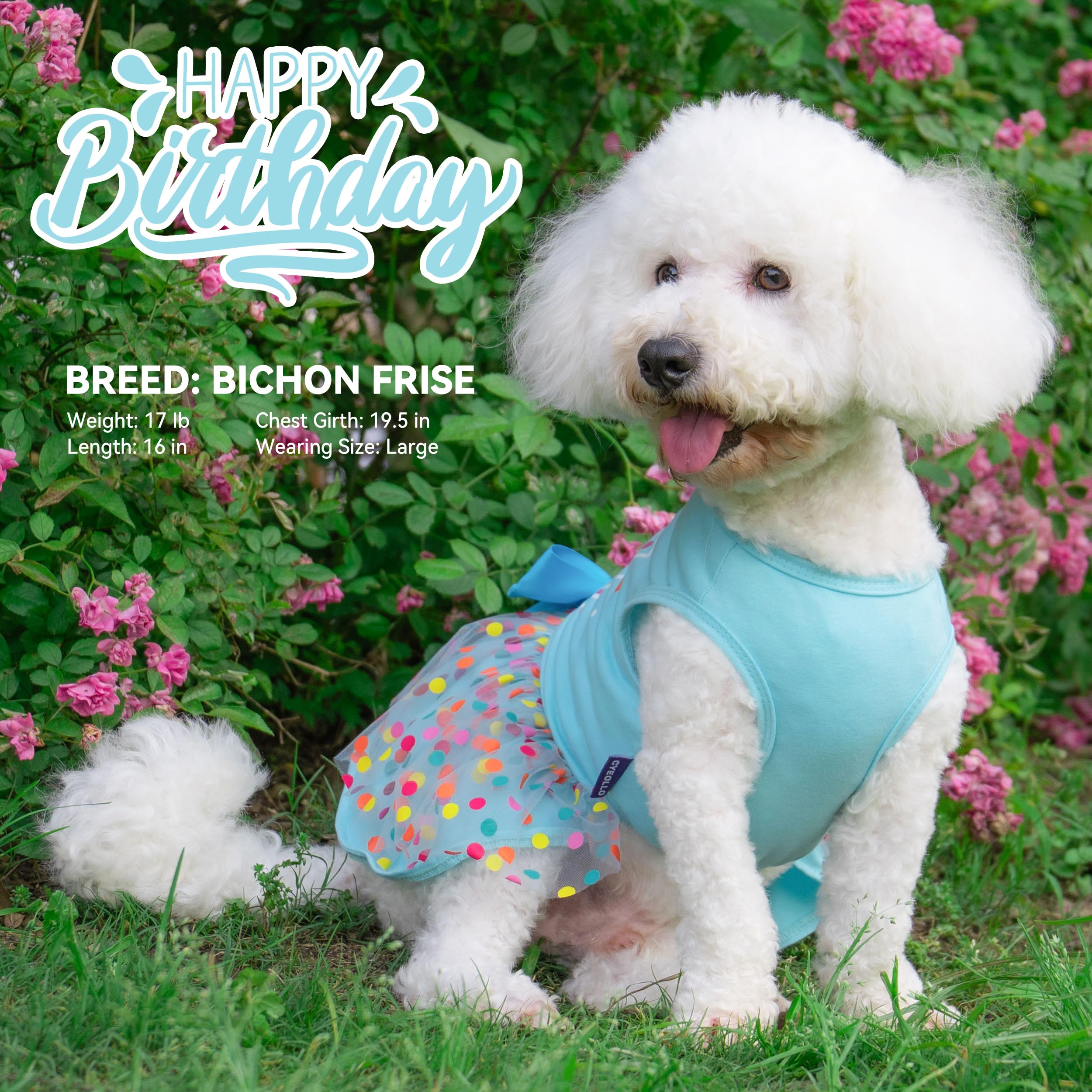 Cyeollo Dog Birthday Dress – Soft Tulle Pullover for Medium Dogs, Blue XL with Bow