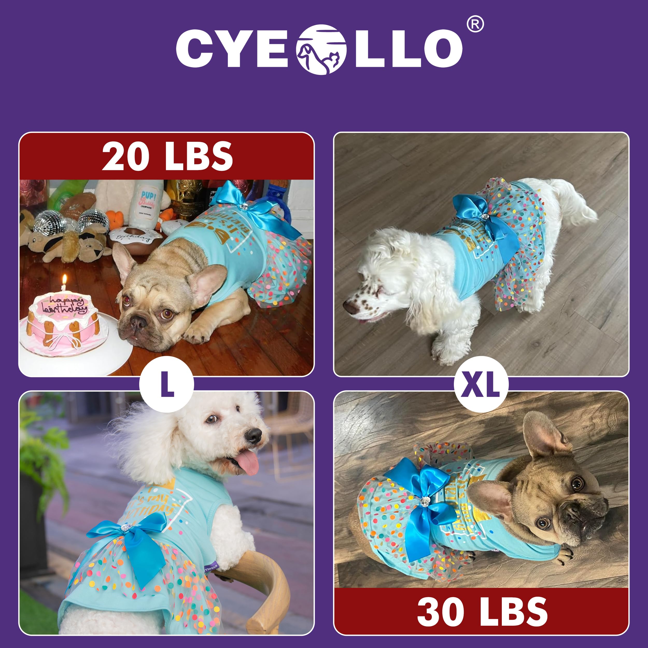 Cyeollo Dog Birthday Dress – Soft Tulle Pullover for Medium Dogs, Blue XL with Bow
