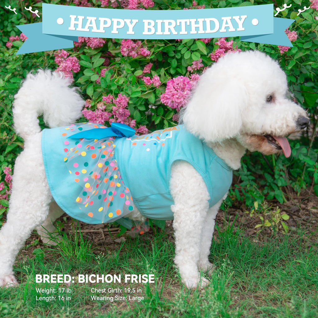 Cyeollo Dog Birthday Dress – Soft Tulle Pullover for Medium Dogs, Blue XL with Bow