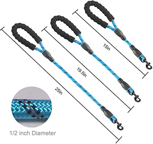 Cymiler Nylon Traffic Leash with Padded Handle - 3 Sizes for Small to Large Dogs (Blue)