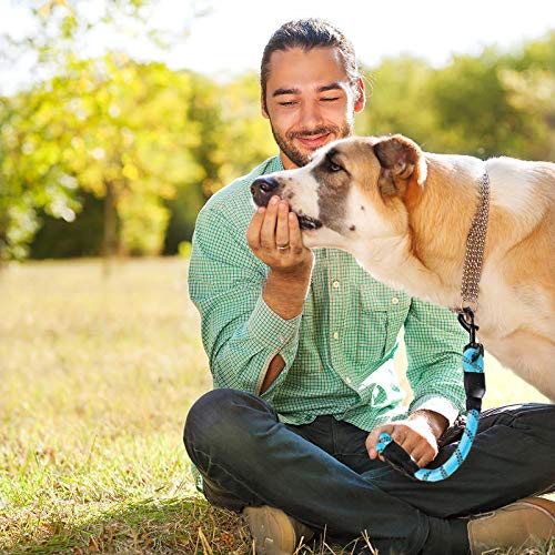 Cymiler Nylon Traffic Leash with Padded Handle - 3 Sizes for Small to Large Dogs (Blue)