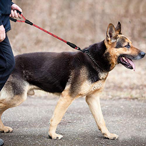 Cymiler Short Dog Leash: 3 Sizes, Padded Handle, Reflective Threads for Small to Large Dogs