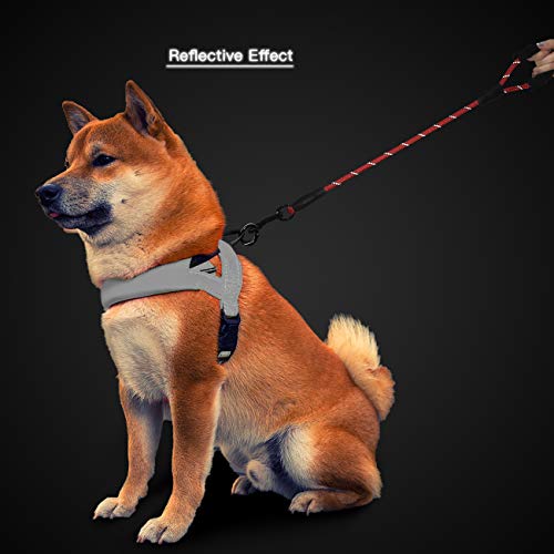 Cymiler Short Dog Leash: 3 Sizes, Padded Handle, Reflective Threads for Small to Large Dogs