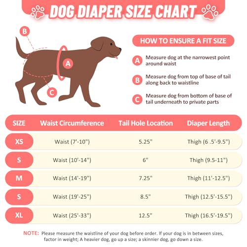 CZMIYRPY Female Dog Diapers 3 Pack - Washable Reusable with Suspenders, Small, Floral