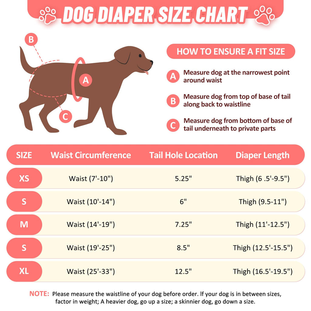 CZMIYRPY Female Dog Diapers 3 Pack - Washable Reusable with Suspenders, Small, Floral