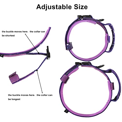 DAGANXI Tactical Dog Collar for Medium Large Dogs, Purple Sky with Control Handle and Airtag Case
