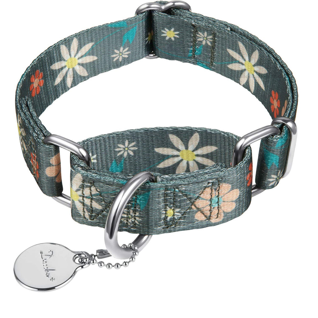 Dazzber Martingale Dog Collar - No Pull, Heavy Duty, Adjustable, Large - Warm Grey Floral Print