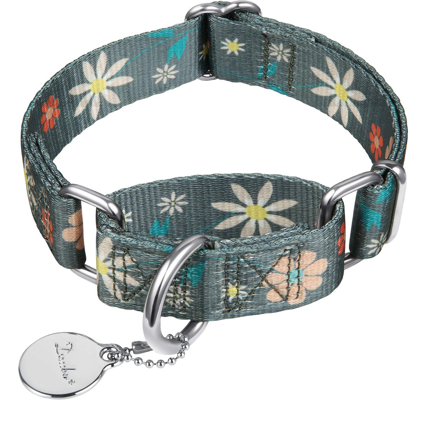 Dazzber Martingale Dog Collar - No Pull, Heavy Duty, Adjustable, Large - Warm Grey Floral Print
