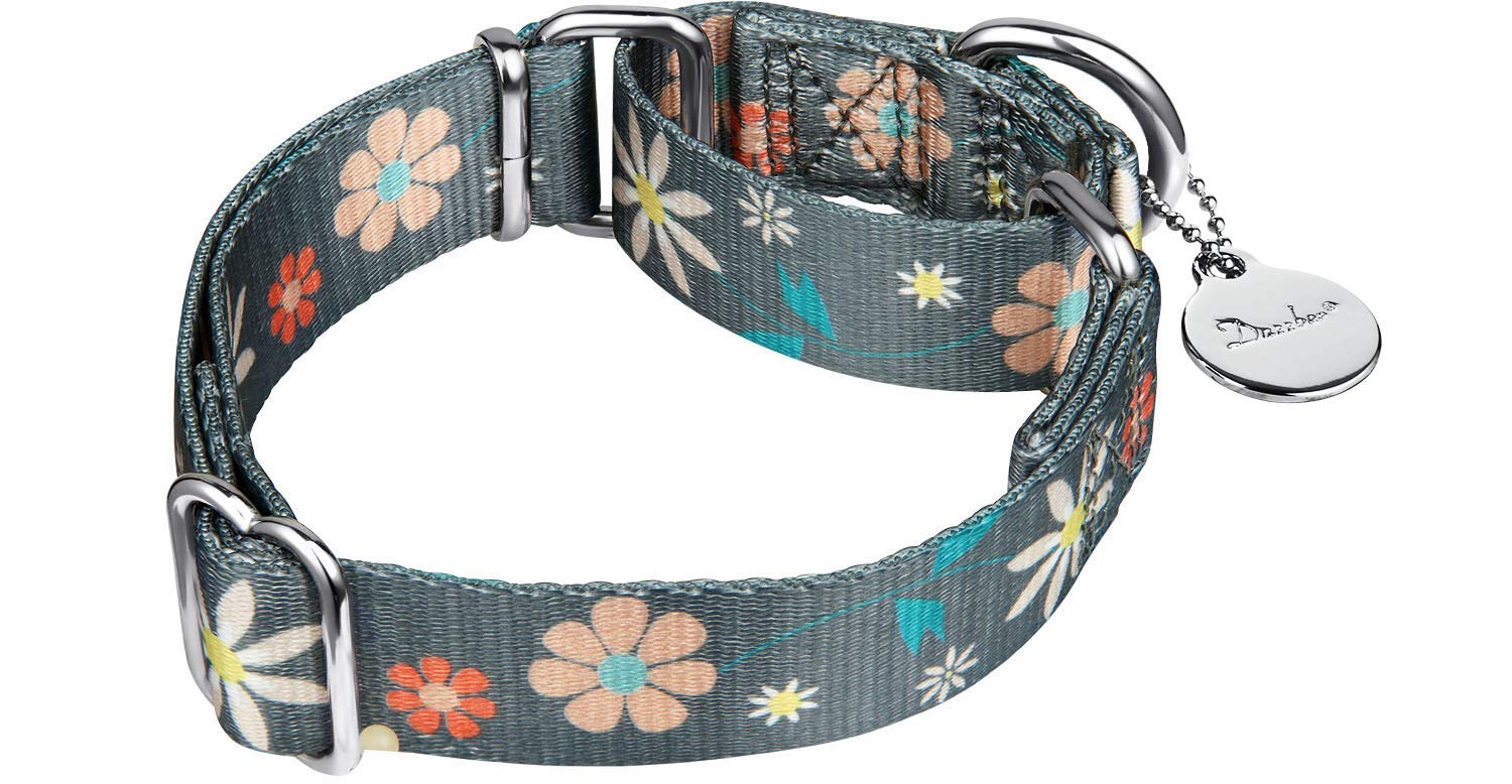 Dazzber Martingale Dog Collar - No Pull, Heavy Duty, Adjustable, Large - Warm Grey Floral Print