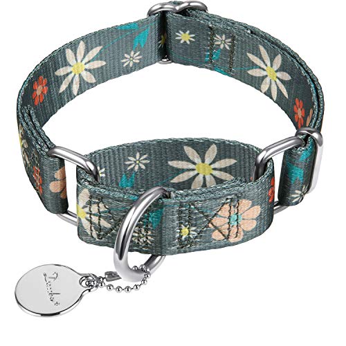 Dazzber Martingale Dog Collar - No Pull, Heavy Duty, Adjustable, Large - Warm Grey Floral Print
