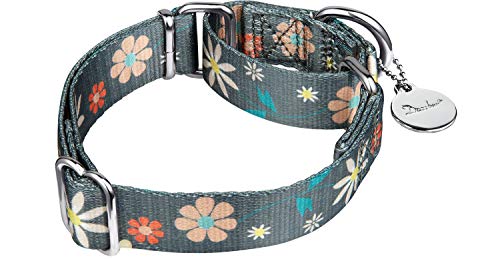 Dazzber Martingale Dog Collar - No Pull, Heavy Duty, Adjustable, Large - Warm Grey Floral Print