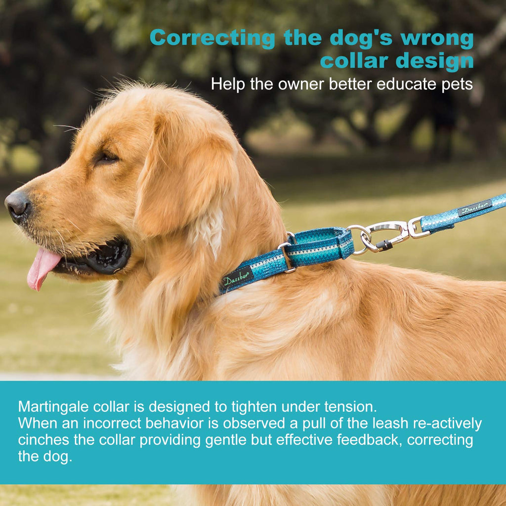 Dazzber Turquoise Martingale Dog Collar for Small Dogs, 1" Wide, 11-15.5" Neck, No-Pull Escape-Proof Design