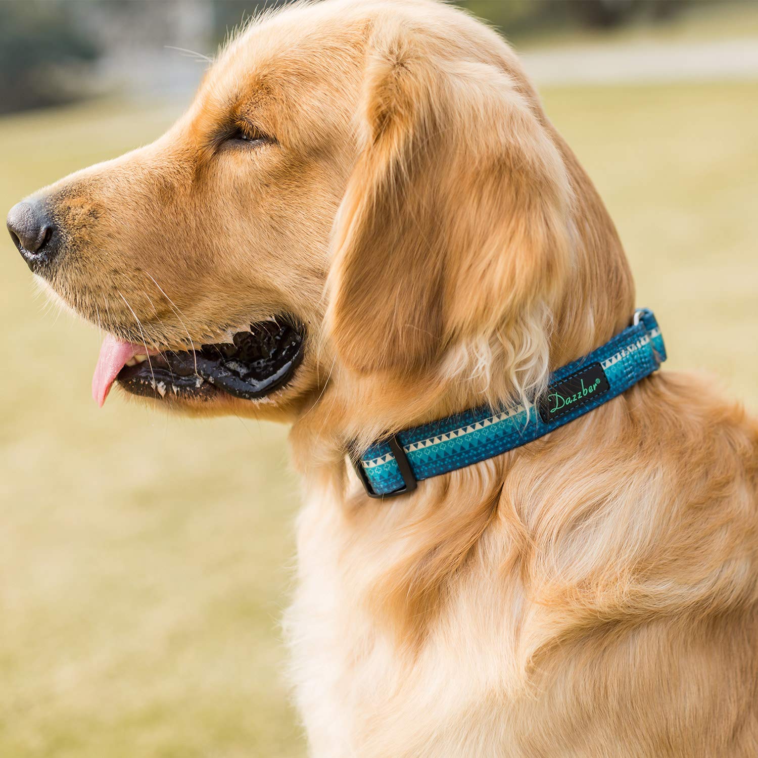 Dazzber Turquoise Martingale Dog Collar for Small Dogs, 1" Wide, 11-15.5" Neck, No-Pull Escape-Proof Design