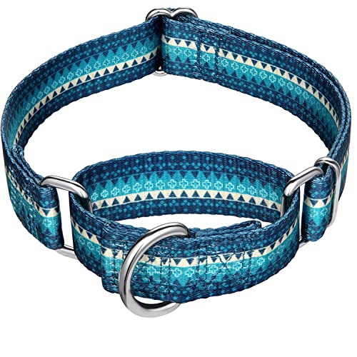 Dazzber Turquoise Martingale Dog Collar for Small Dogs, 1" Wide, 11-15.5" Neck, No-Pull Escape-Proof Design