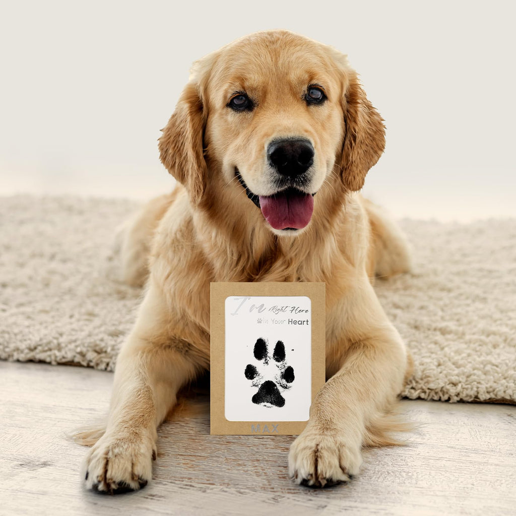 DeerZone Inkless Paw Print Kit - Clean Touch Pet Paw & Nose Print Keepsake (2 Pack)