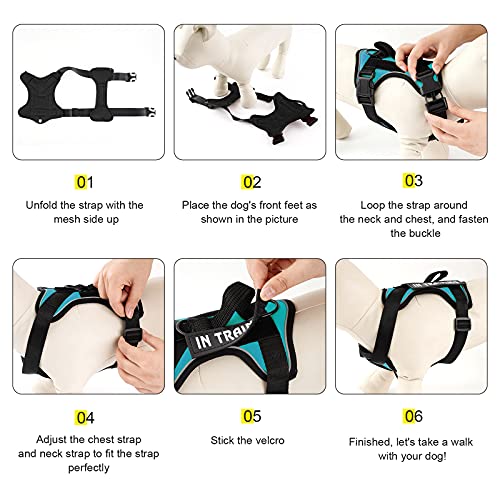 Demigreat Large Turquoise Dog Service Harness - Reflective No-Pull with Patches