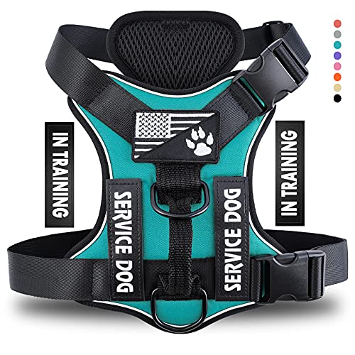 Demigreat Large Turquoise Dog Service Harness - Reflective No-Pull with Patches