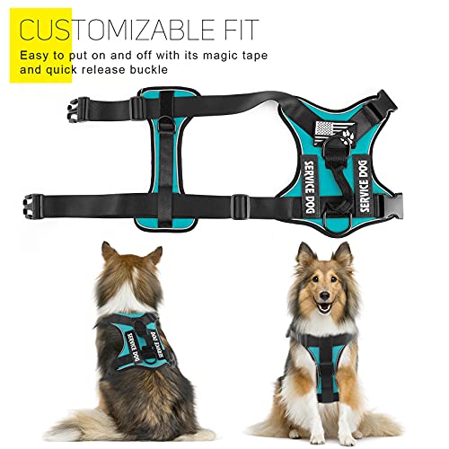 Demigreat Large Turquoise Dog Service Harness - Reflective No-Pull with Patches