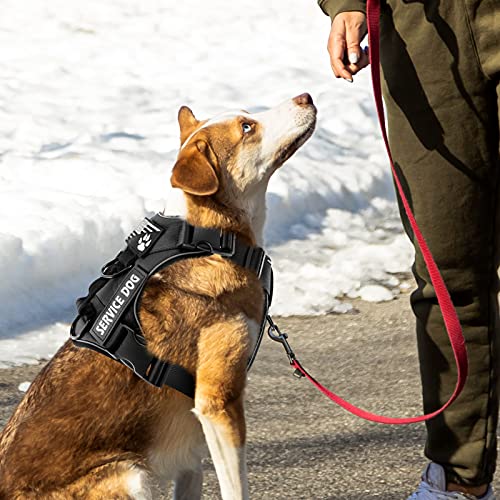 Demigreat No-Pull Reflective Dog Harness with 5 Patches – Large, Black, Breathable Mesh Vest for Service Dogs and Training