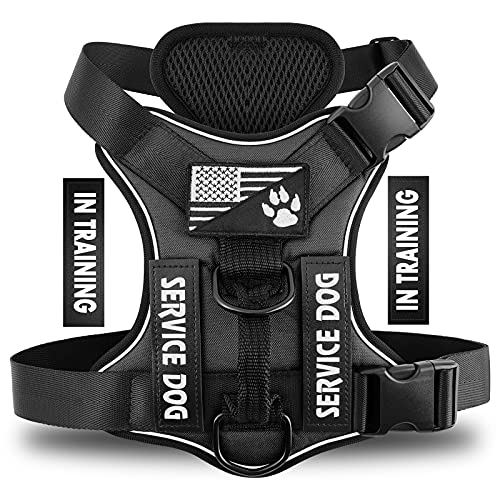 Demigreat No-Pull Reflective Dog Harness with 5 Patches – Large, Black, Breathable Mesh Vest for Service Dogs and Training