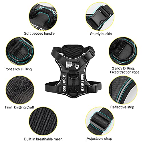 Demigreat No-Pull Reflective Dog Harness with 5 Patches – Large, Black, Breathable Mesh Vest for Service Dogs and Training