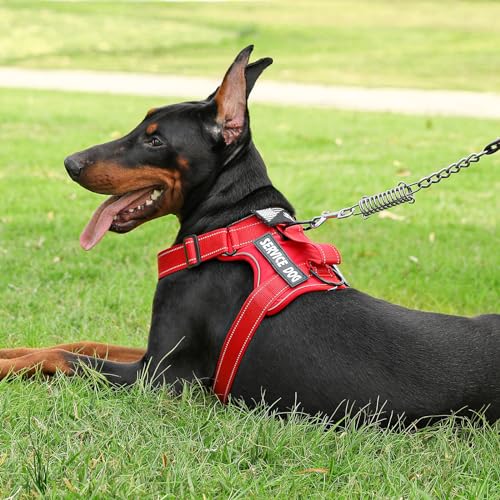 Demigreat Service Dog Harness - Reflective Vest with 5 Patches, No-Pull Design, Medium, All-RED