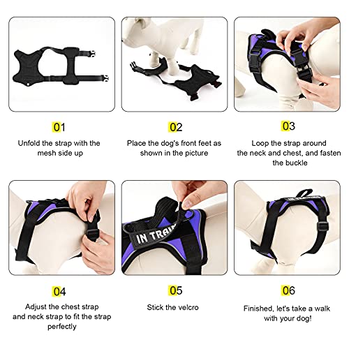 Demigreat Service Dog Harness – Reflective No-Pull Vest with 5 Patches, Adjustable Oxford Nylon, Medium, Purple