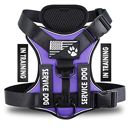 Demigreat Service Dog Harness – Reflective No-Pull Vest with 5 Patches, Adjustable Oxford Nylon, Medium, Purple