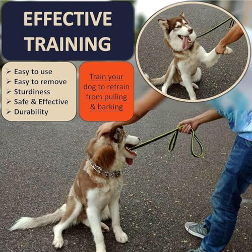 DEYACE Quick Release Dog Training Collar - Adjustable Stainless Steel for Small Dogs (Tan, 11.2-14.5 Inch Neck)