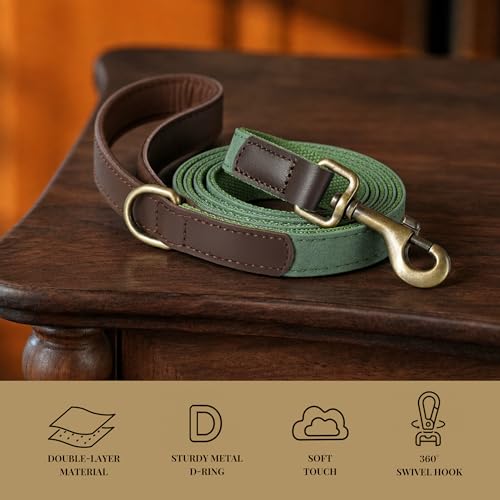 Didog 4.5ft Faux Leather Dog Leash for Small to Medium Dogs – Soft Padded Handle, Green